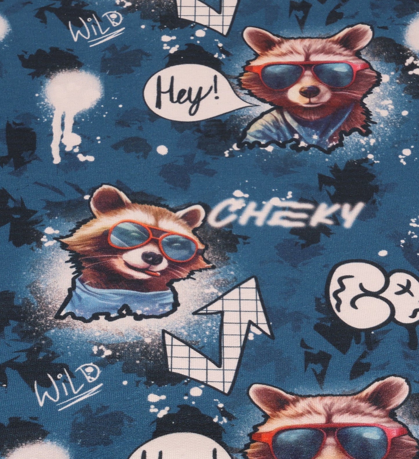 Cool Racoon