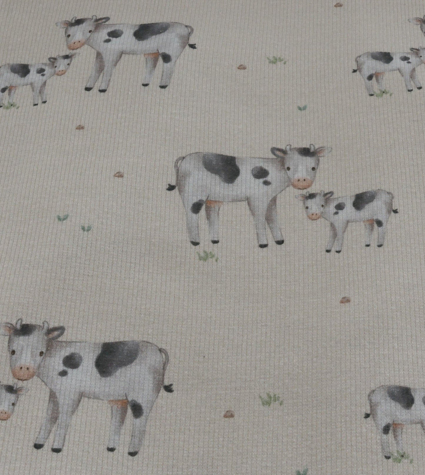 Cow and Calf