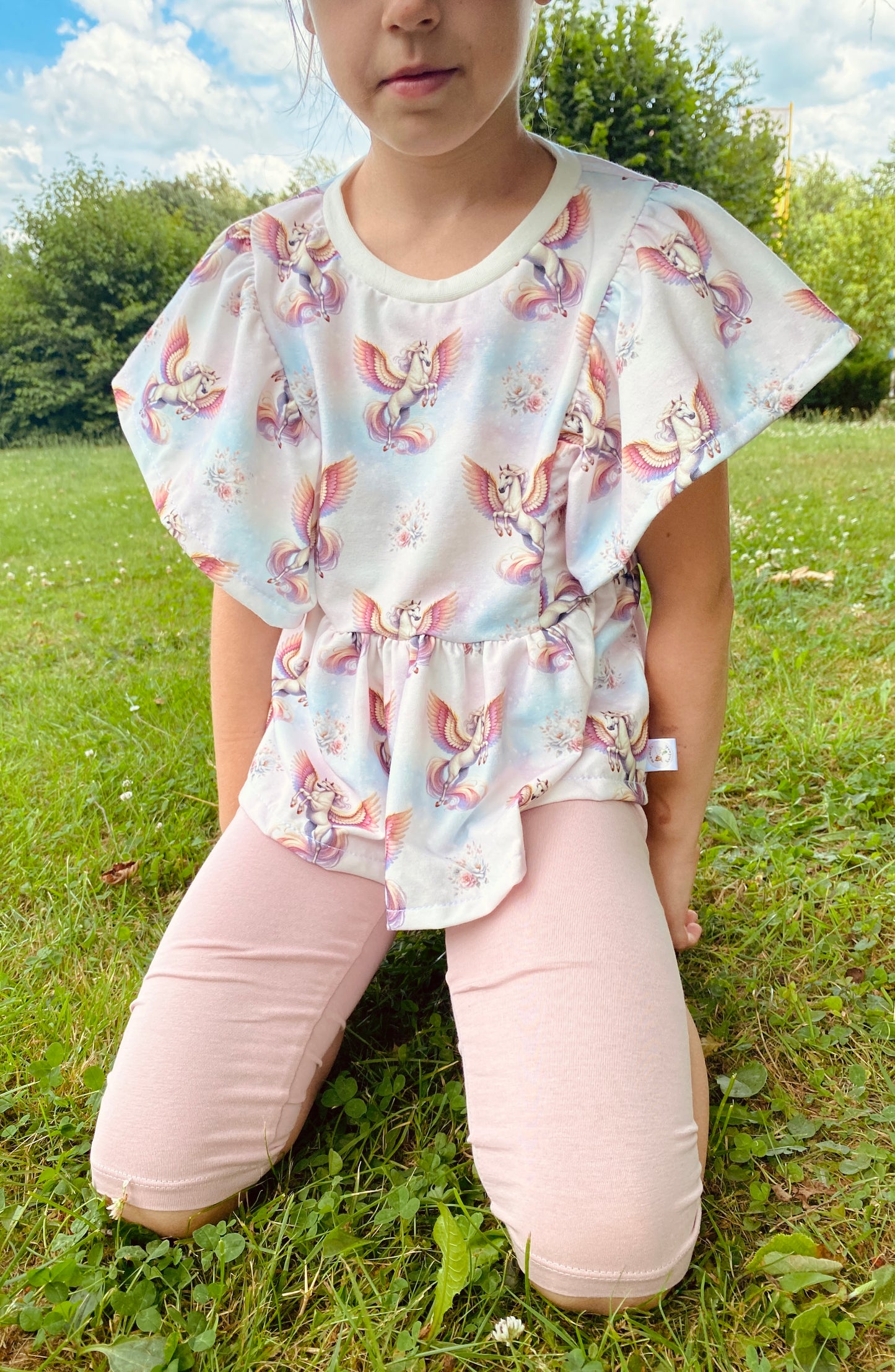 Pink Pegasus