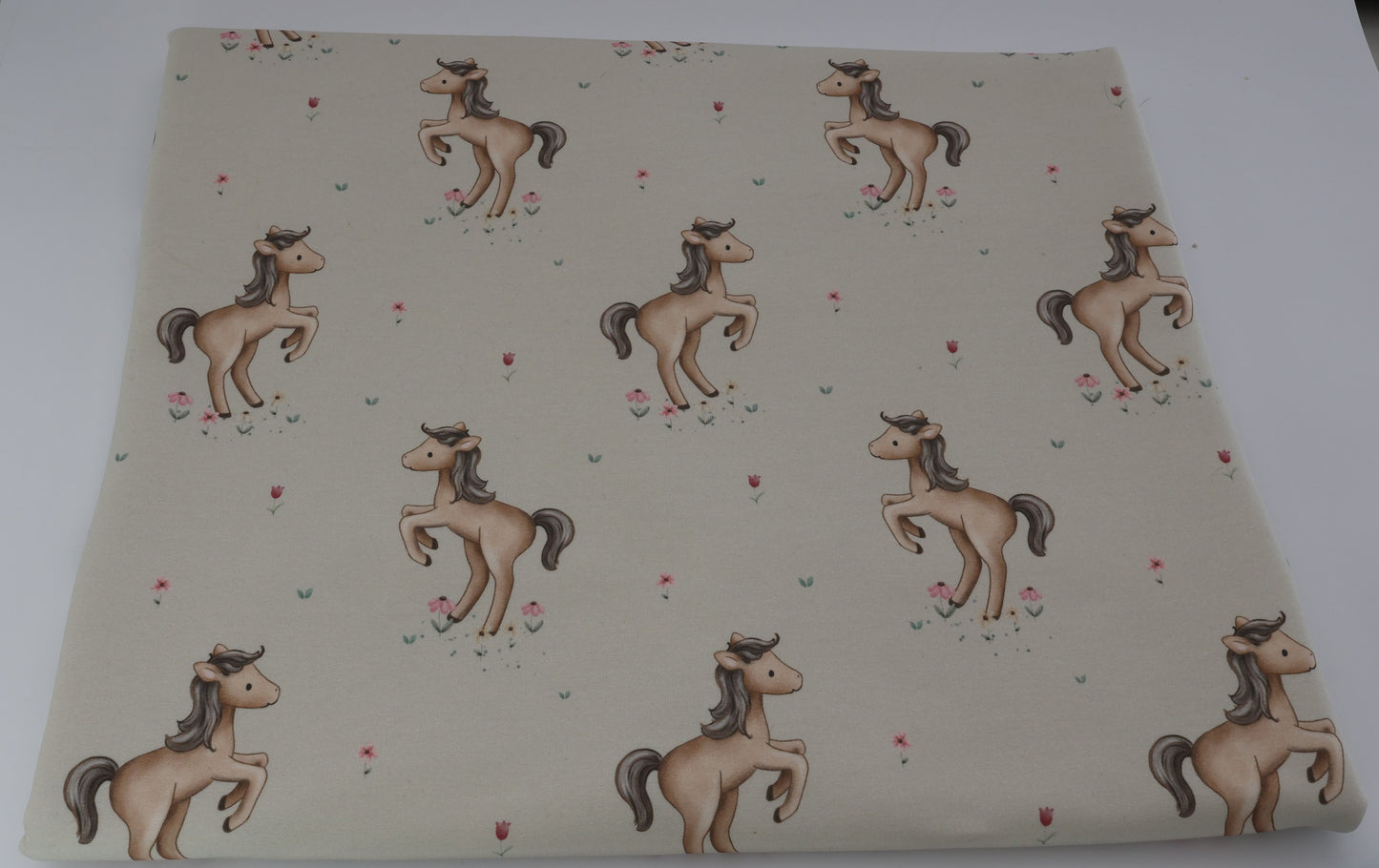 Little Horse