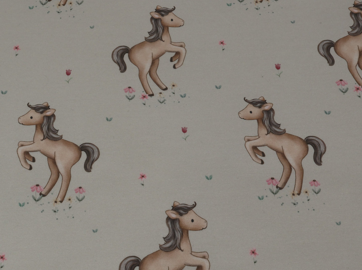 Little Horse