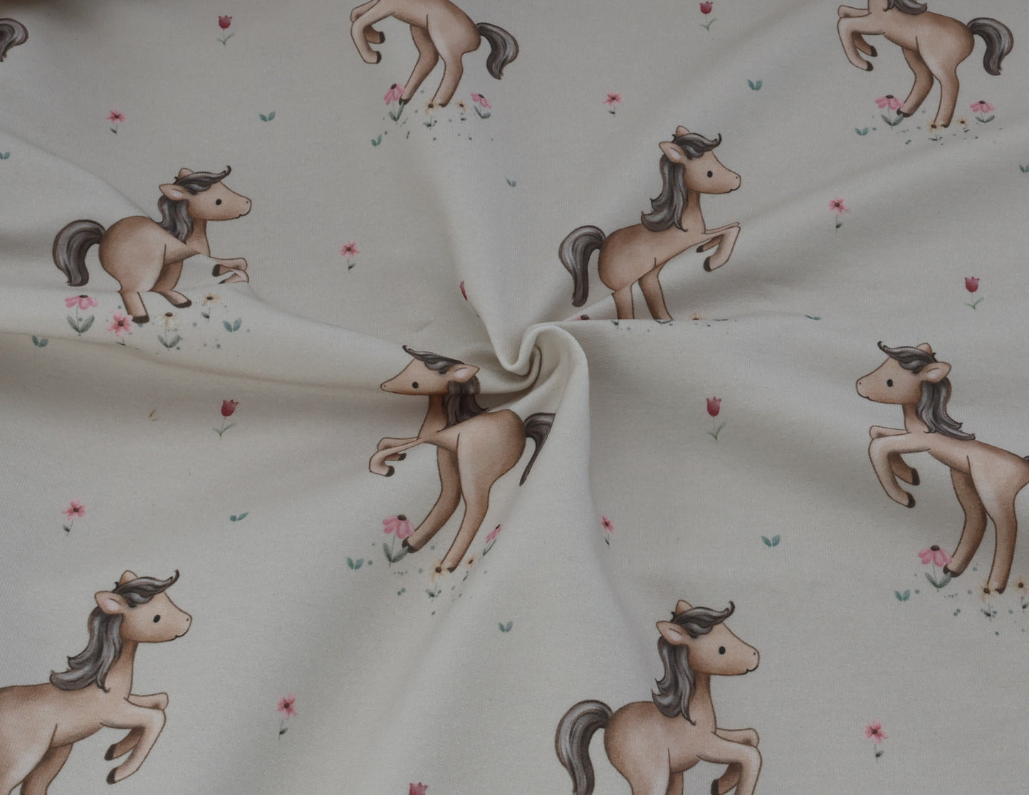 Little Horse