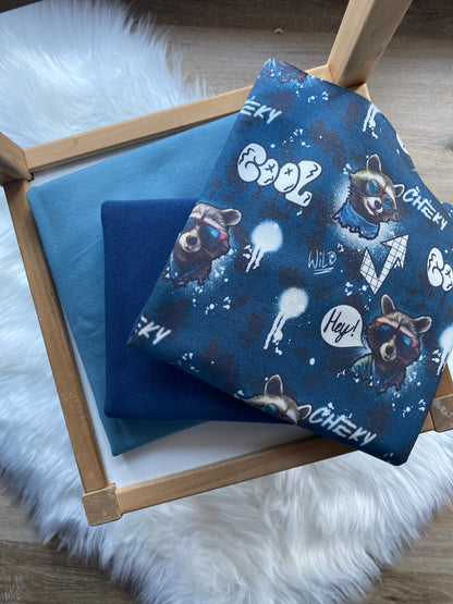 Stoffpaket Cool Racoon