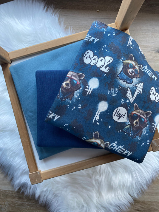 Stoffpaket Cool Racoon