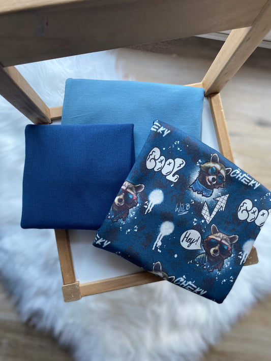 Stoffpaket Cool Racoon