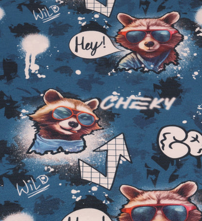 Cool Racoon