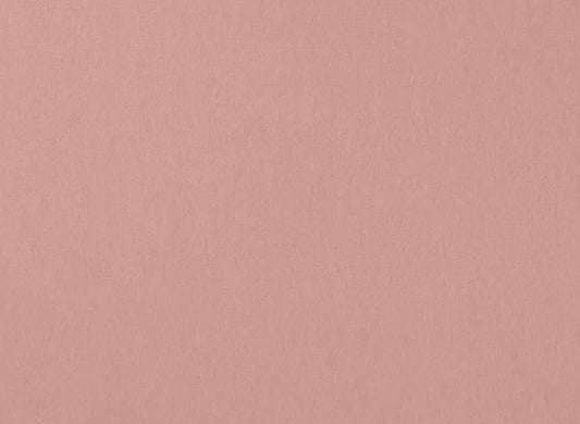 BÜNDCHEN Nude