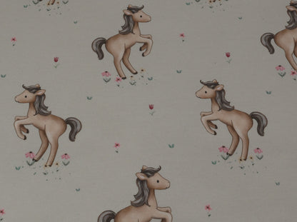Little Horse