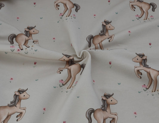 Little Horse